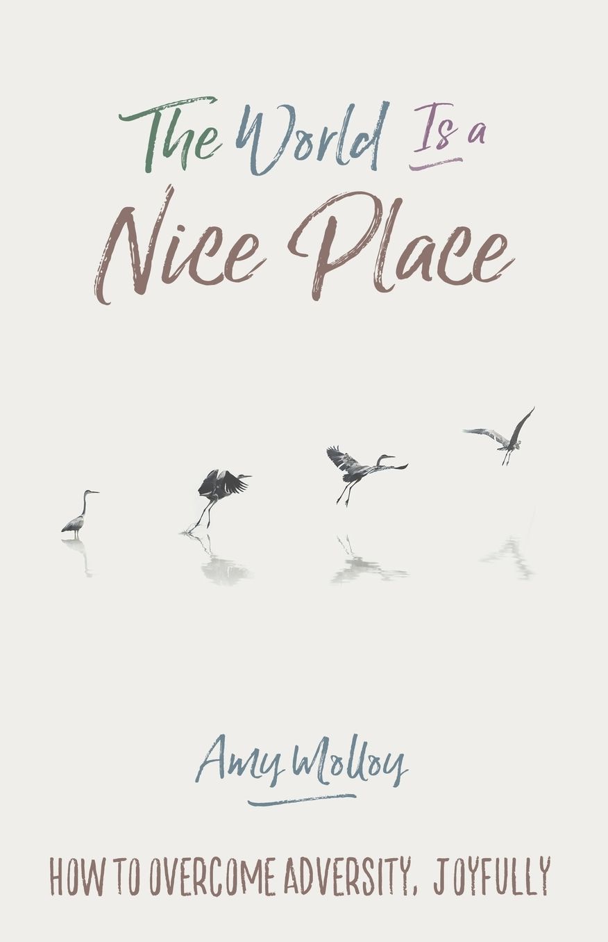 The World Is a Nice Place: How to Overcome Adversity, Joyfully