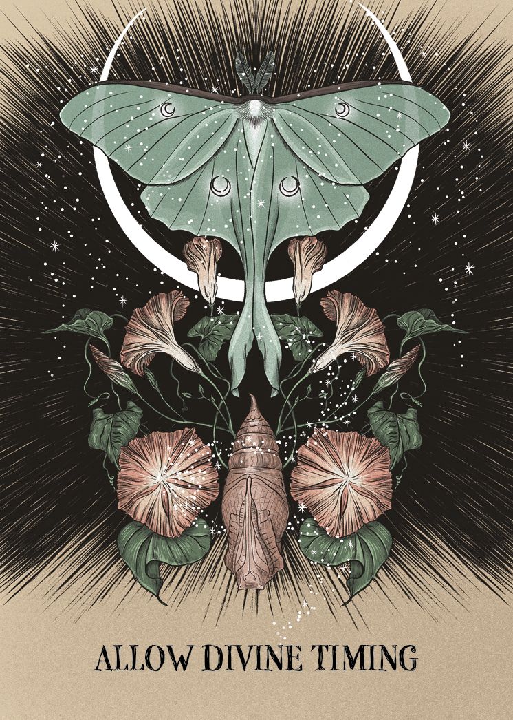 Fated: A Pocket Love Oracle: A 13-Card Deck and Guidebook