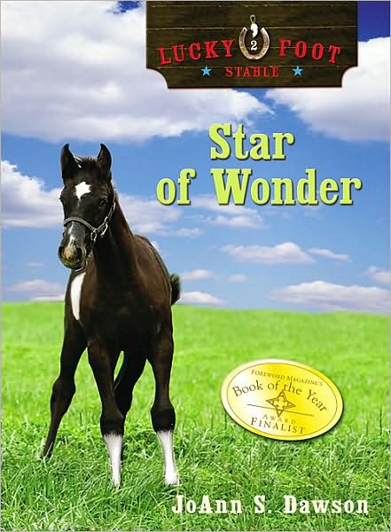 Star of Wonder (Lucky Foot Stables Series #2)