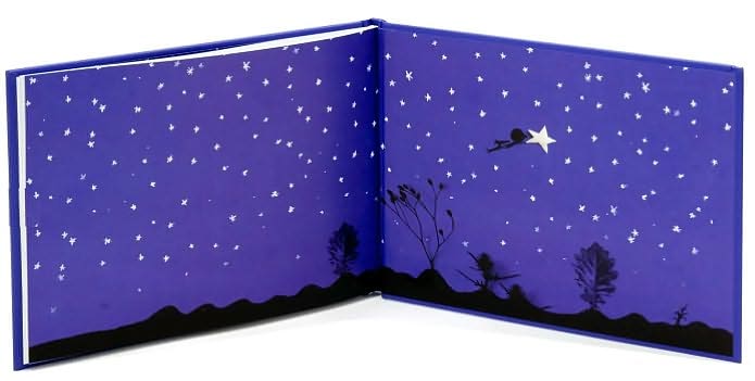 Reach for the Stars: and Other Advice for Life's Journey