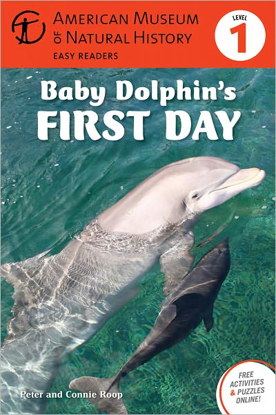 Baby Dolphin's First Day: (Level 1)