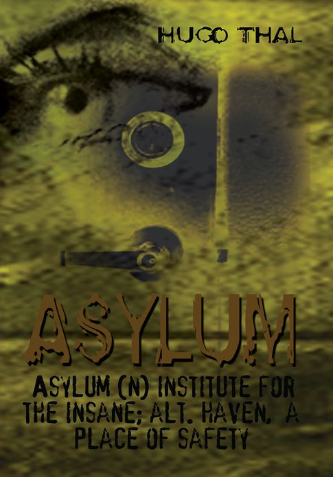 Asylum: Asylum (n) institute for the insane; alt. haven, a place of safety