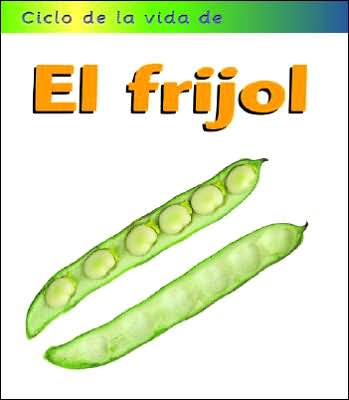 El frijol (Broad Bean)