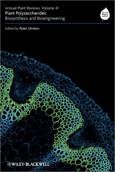 Plant Polysaccharides : Biosynthesis and Bioengineering