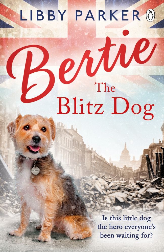 Bertie the Blitz Dog
