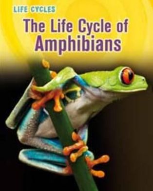 The Life Cycle of Amphibians