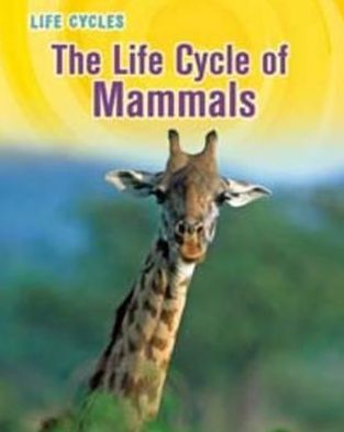 Life Cycle of Mammals