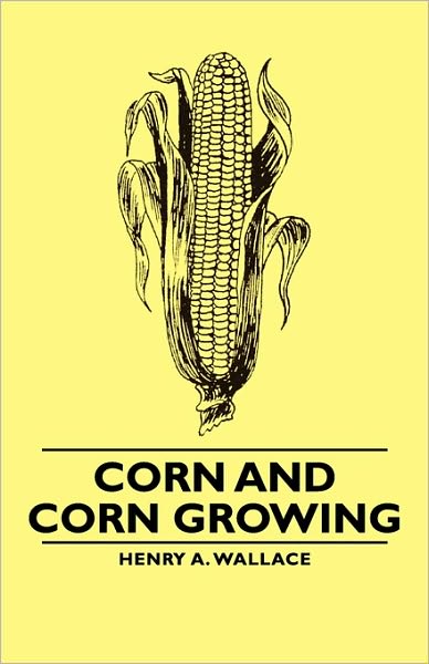 Corn And Corn Growing