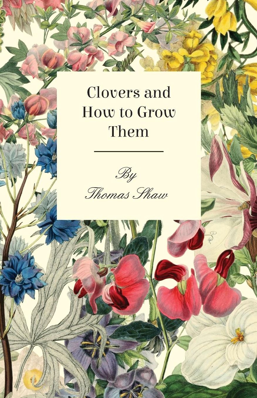 Clovers And How To Grow Them