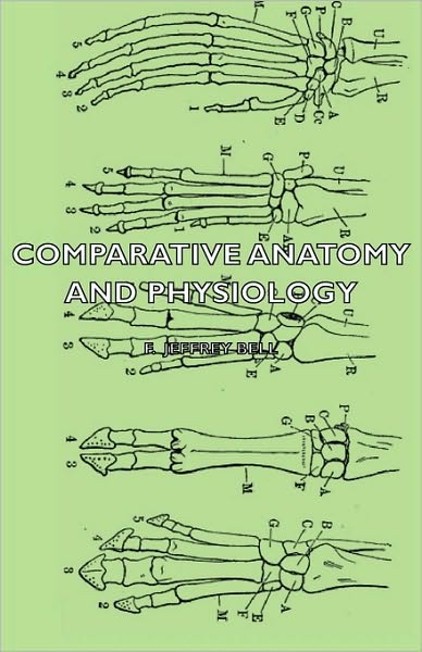 Comparative Anatomy And Physiology