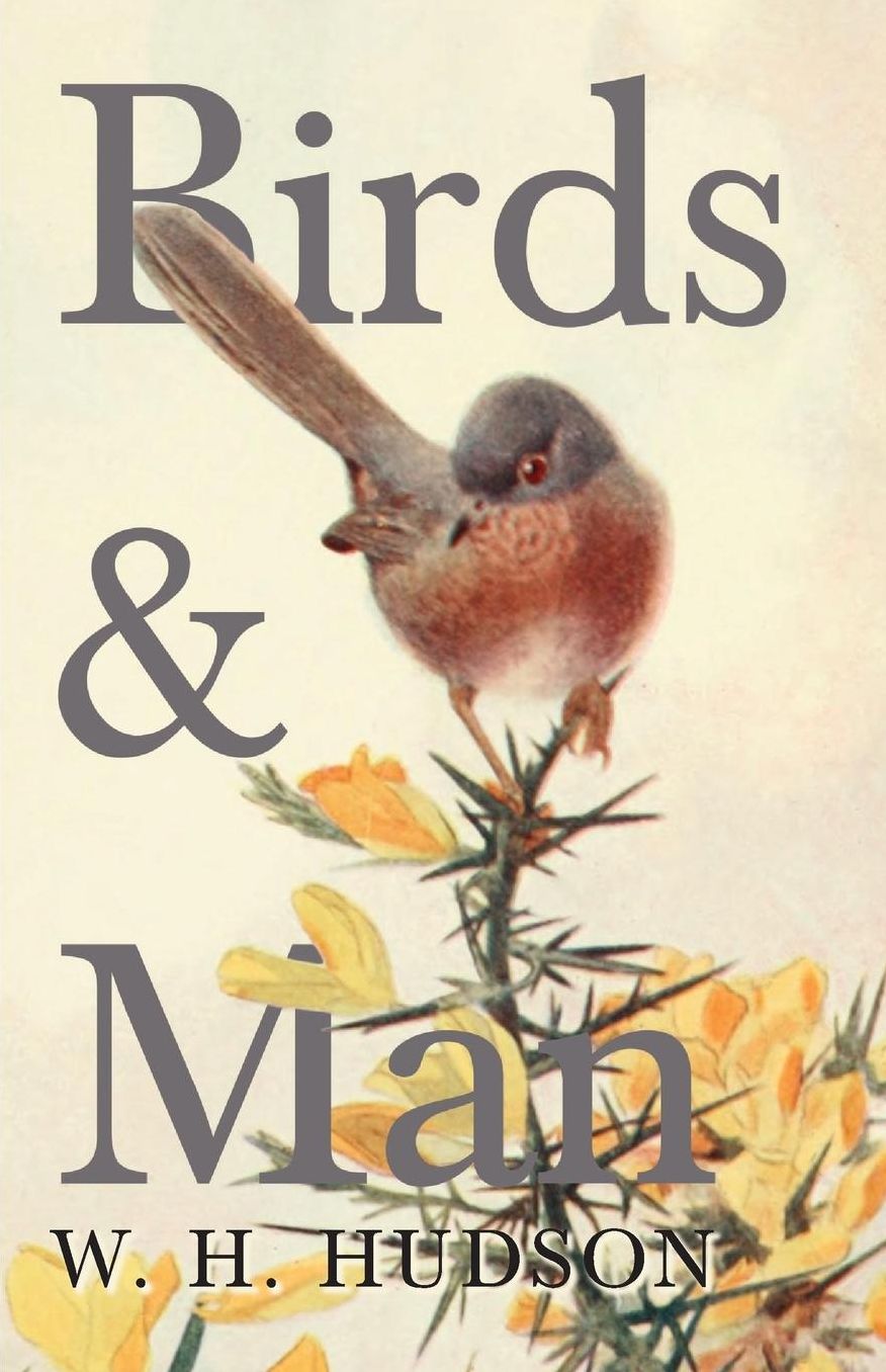 Birds And Man