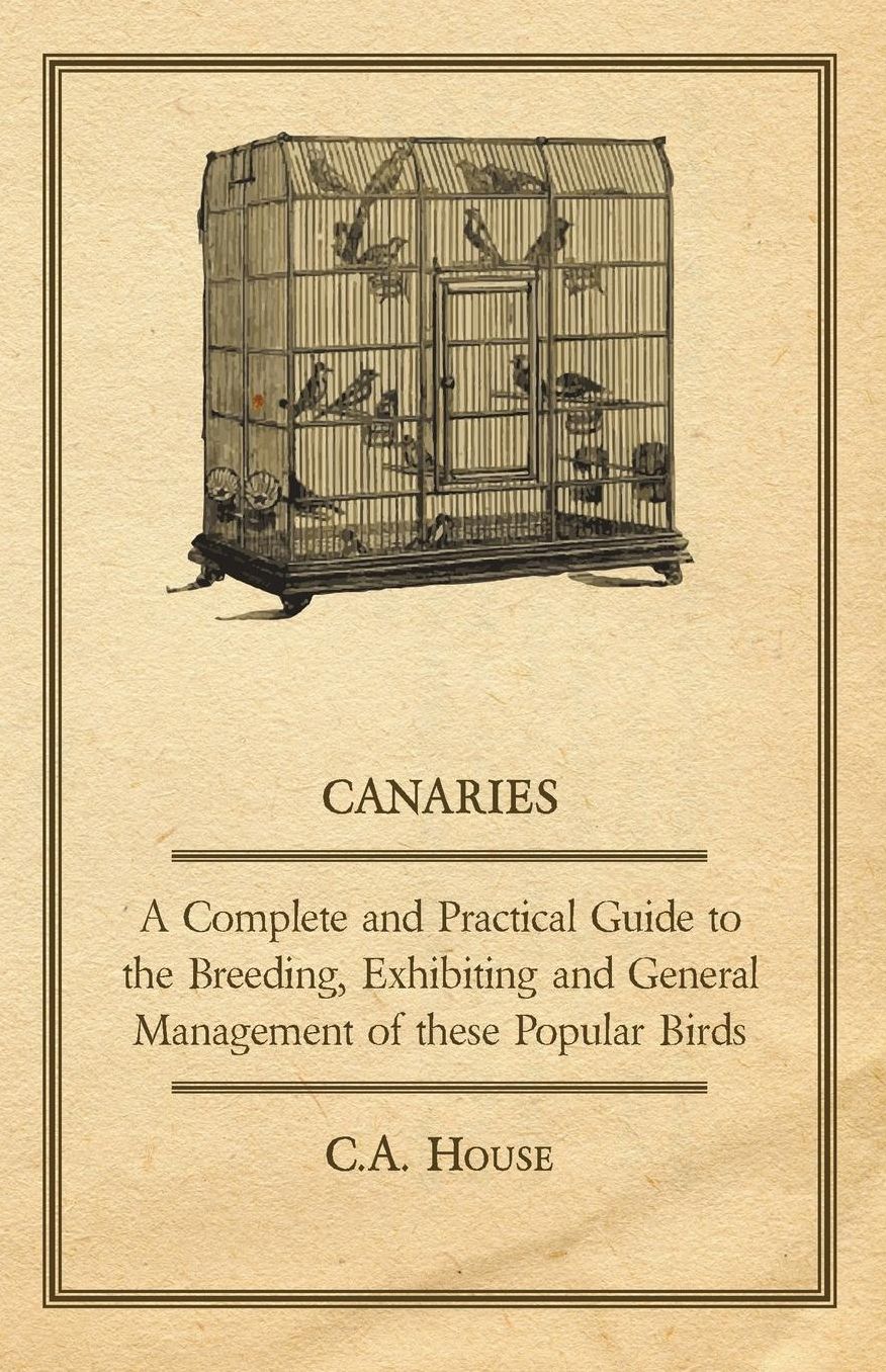 Canaries a Complete and Practical Guide