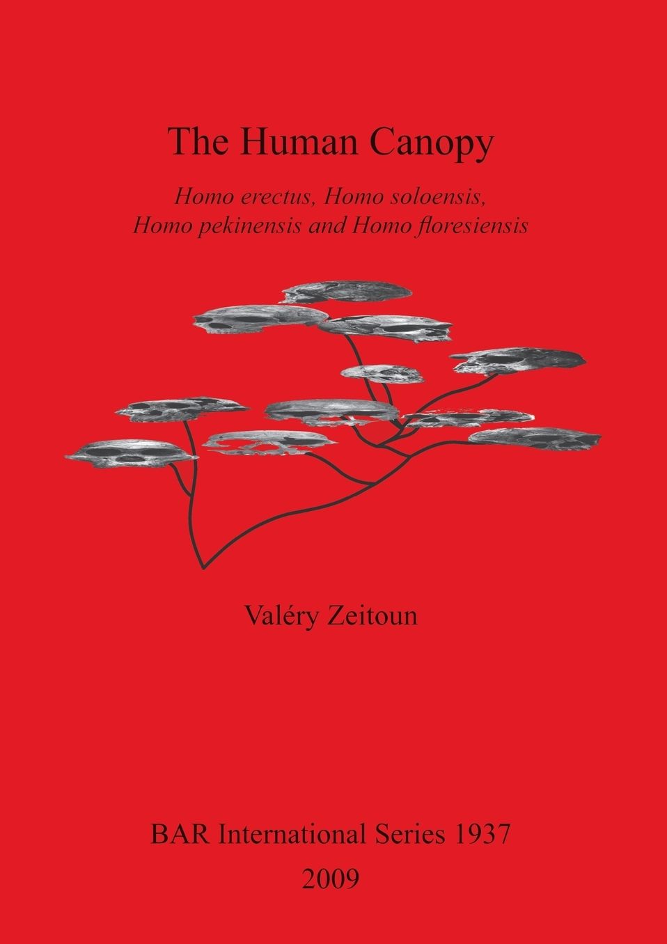 The Human Canopy: Homo Erectus, Homo Soloensis, Homo Pekinensis and Homo Floresiensis