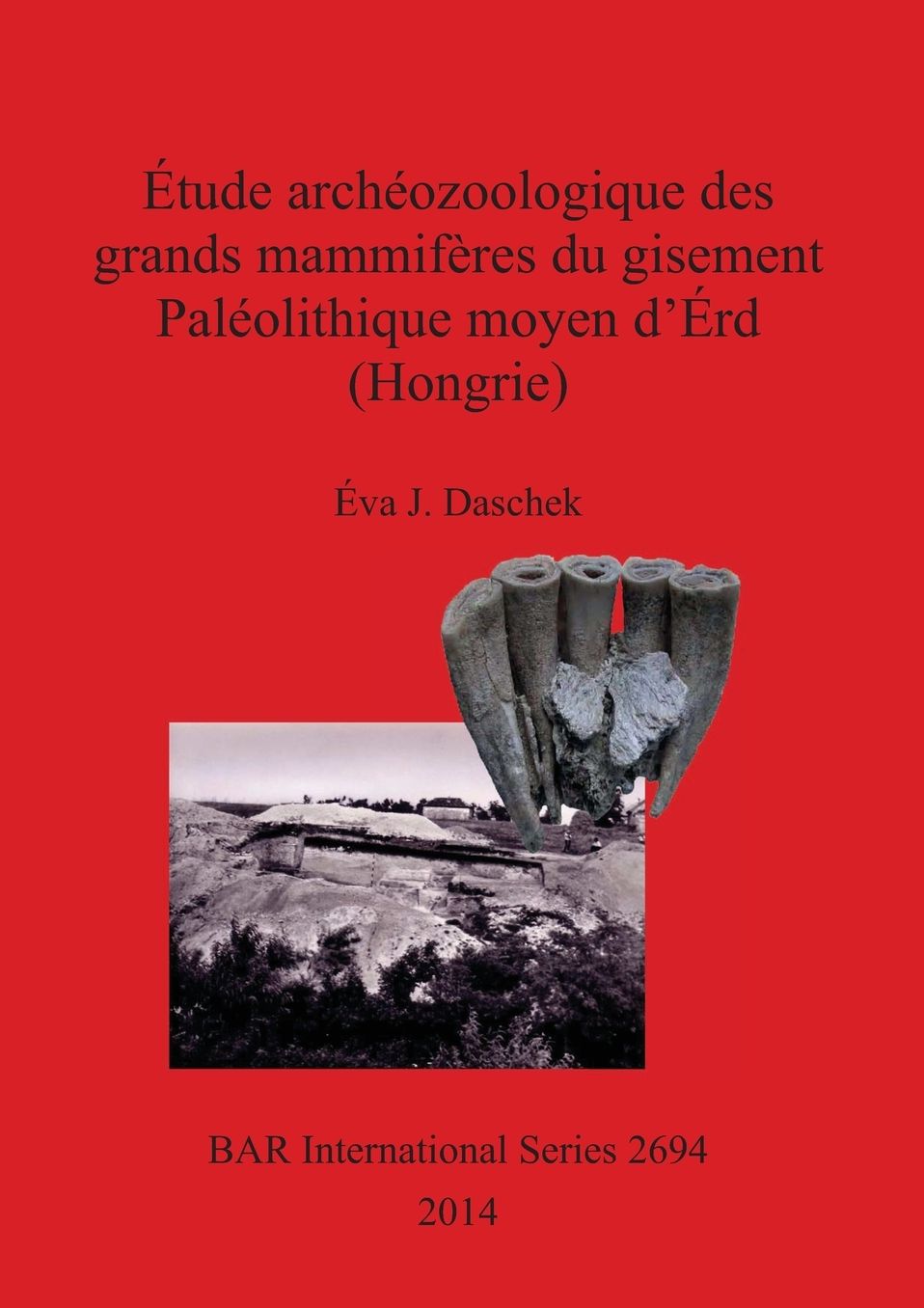Etude archeozoologique des grands mammiferes du gisement Paleolithique moyen d'Erd (Hongrie)