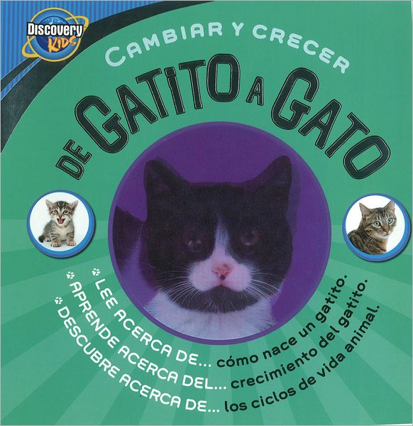 De Gatito a Gato