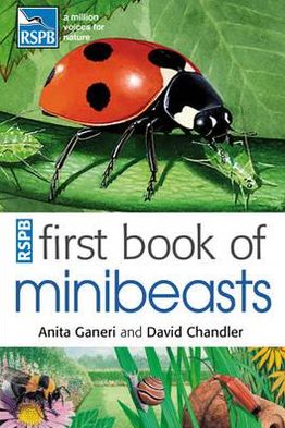 Rspb First Book of Minibeasts