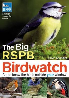 The Big Rspb Birdwatch