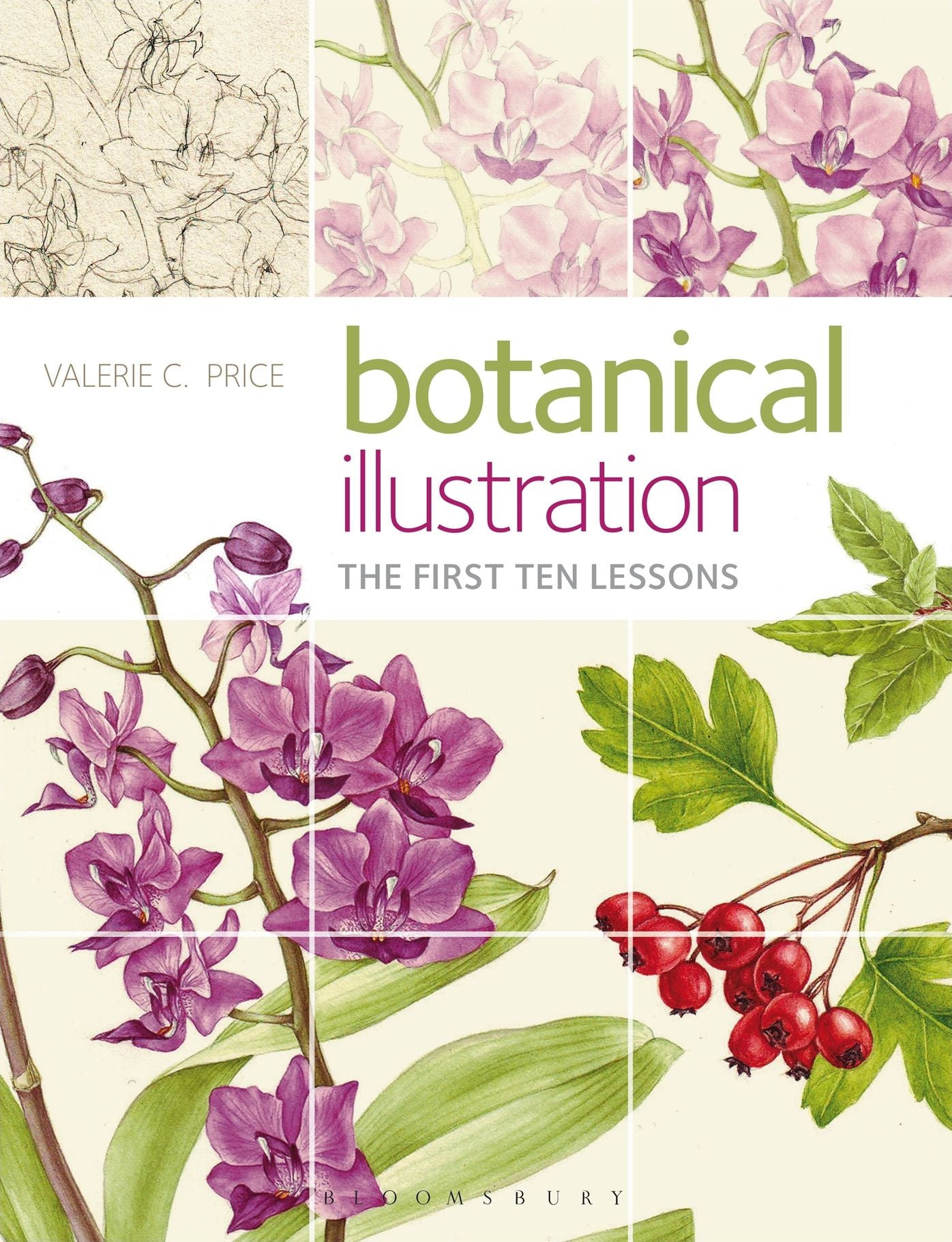 Botanical Illustration: The first ten lessons