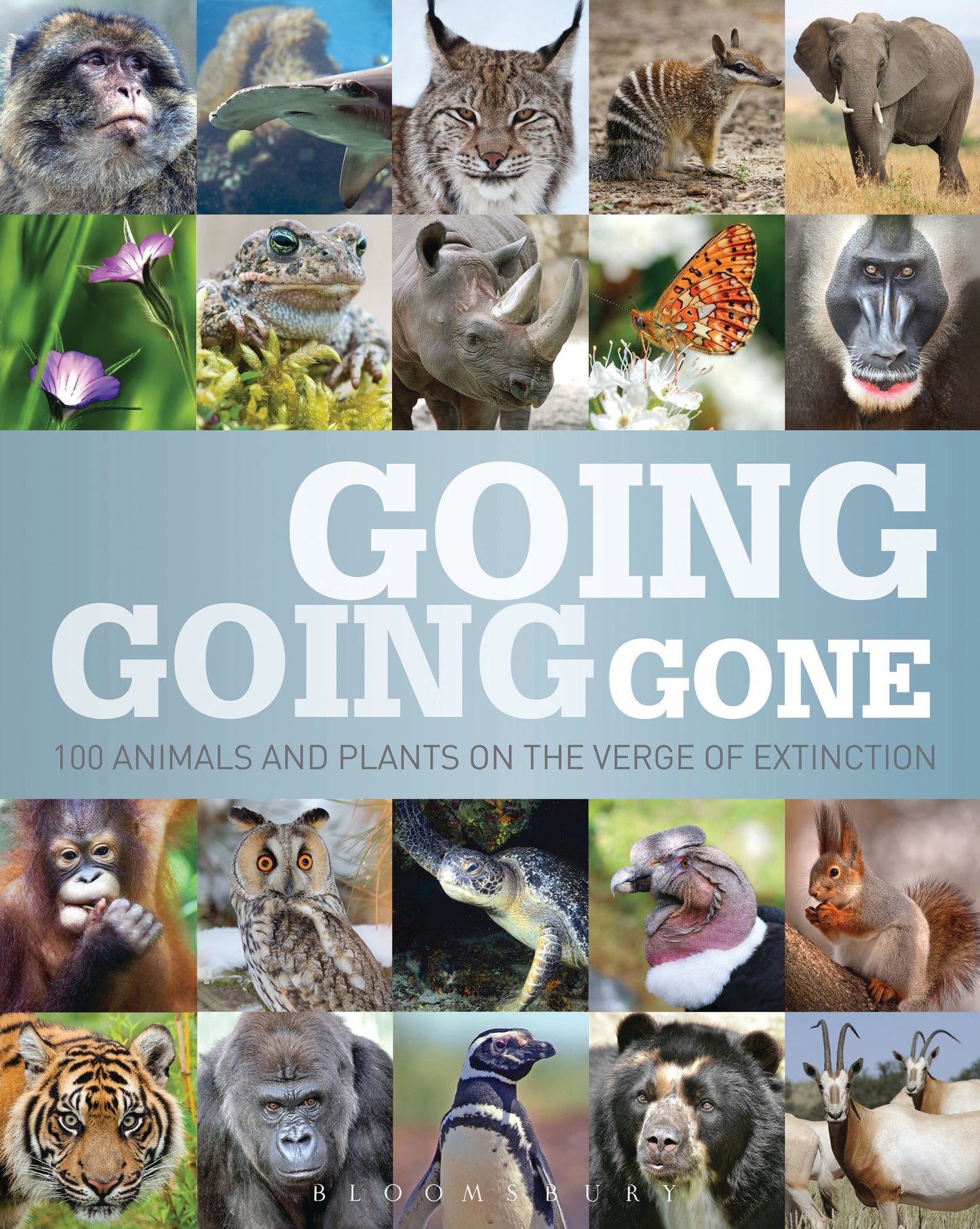 Going, Going, Gone: 100 animals and plants on the verge of extinction