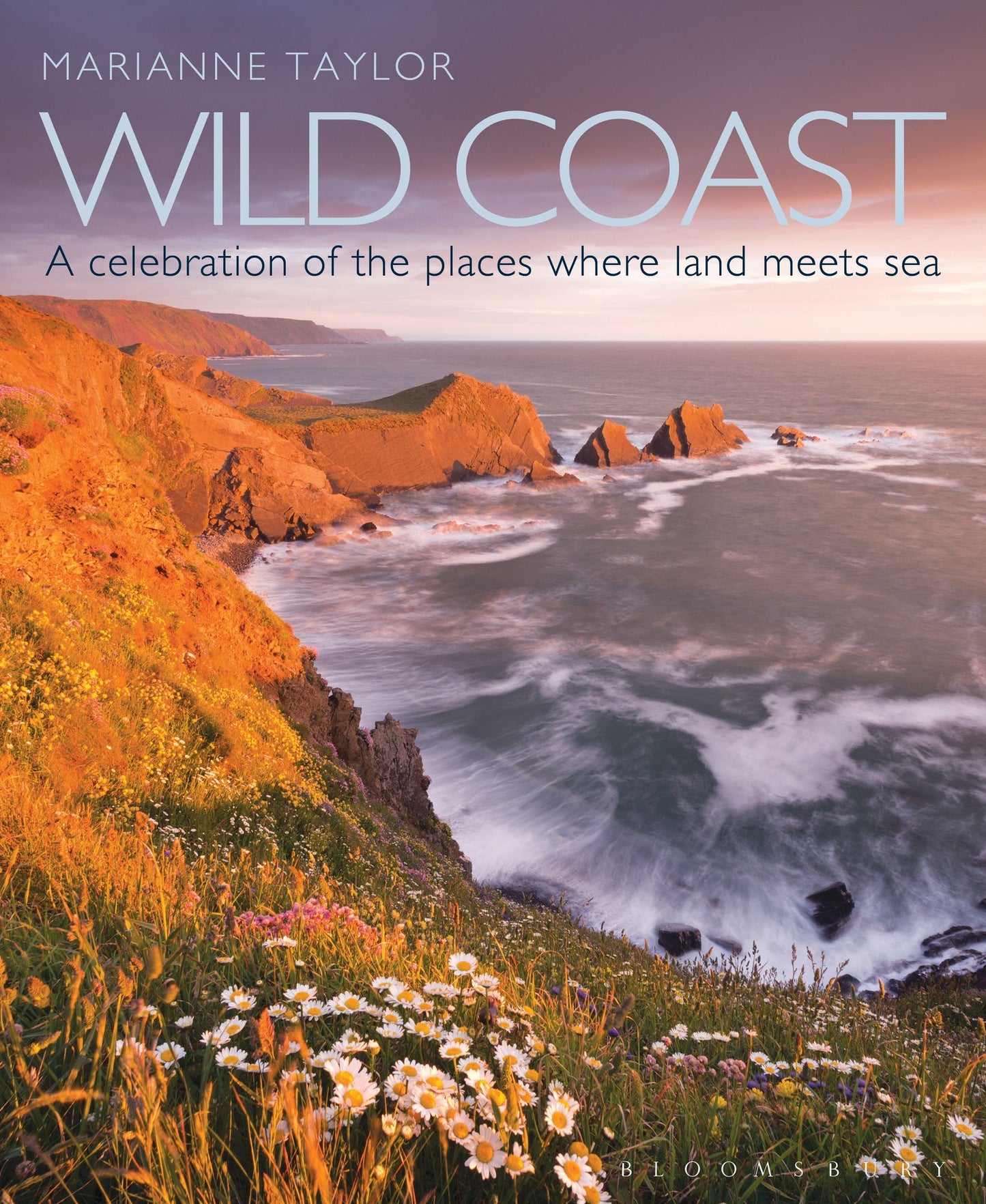 Wild Coast: An exploration of the places where land meets sea
