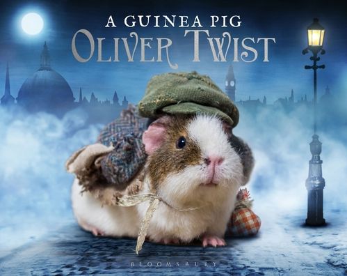 A Guinea Pig Oliver Twist