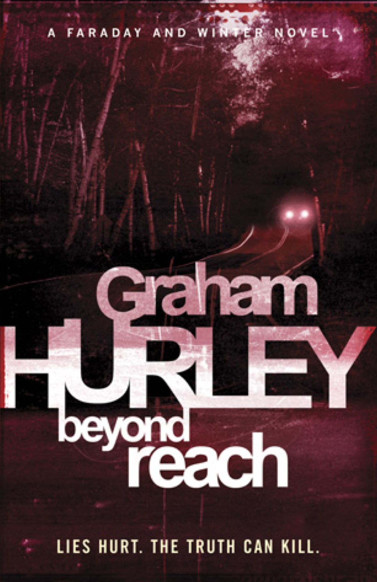 Beyond Reach (Joe Faraday Series #10)