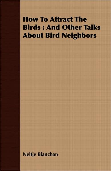 How To Attract The Birds