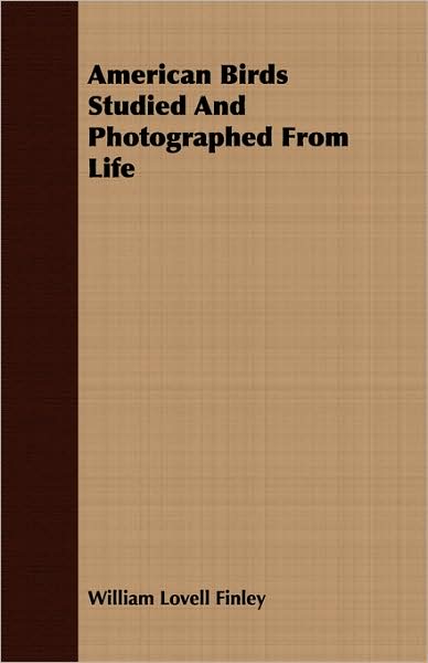 American Birds Studied And Photographed From Life