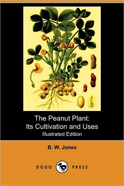 The Peanut Plant