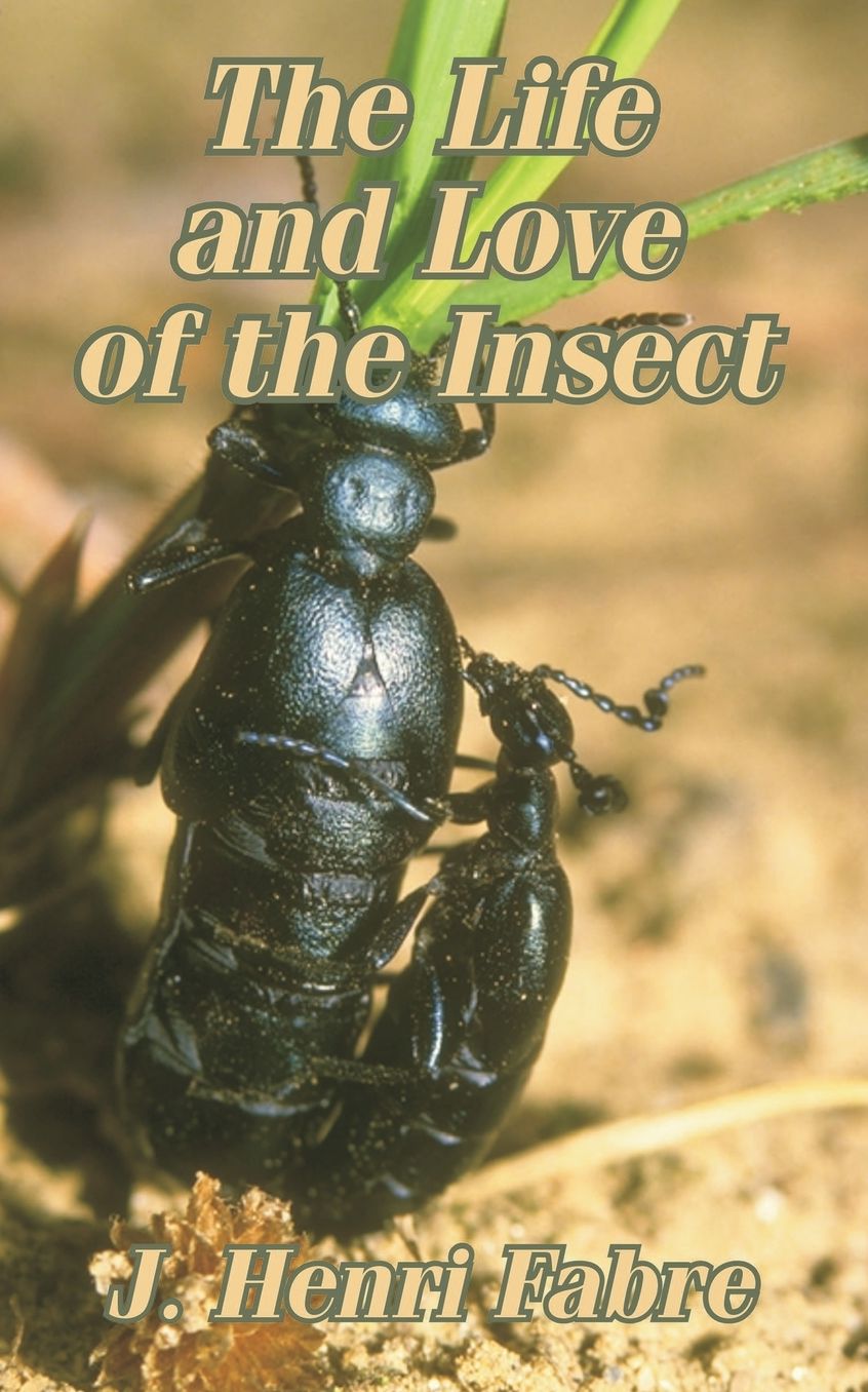 Life And Love Of The Insect, The