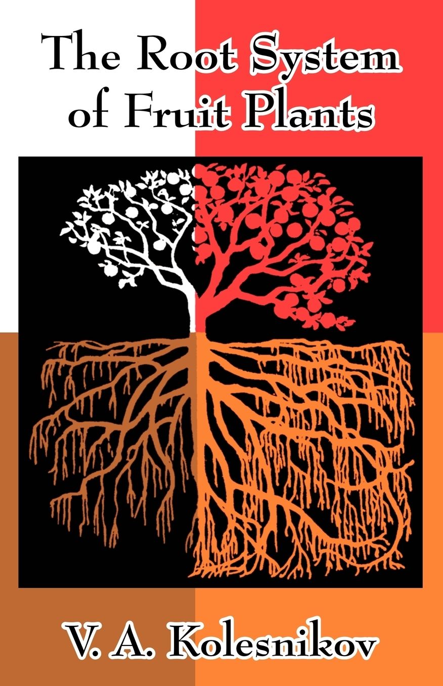 Root System of Fruit Plants