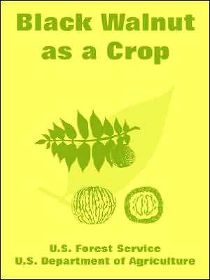 Black Walnut as a Crop