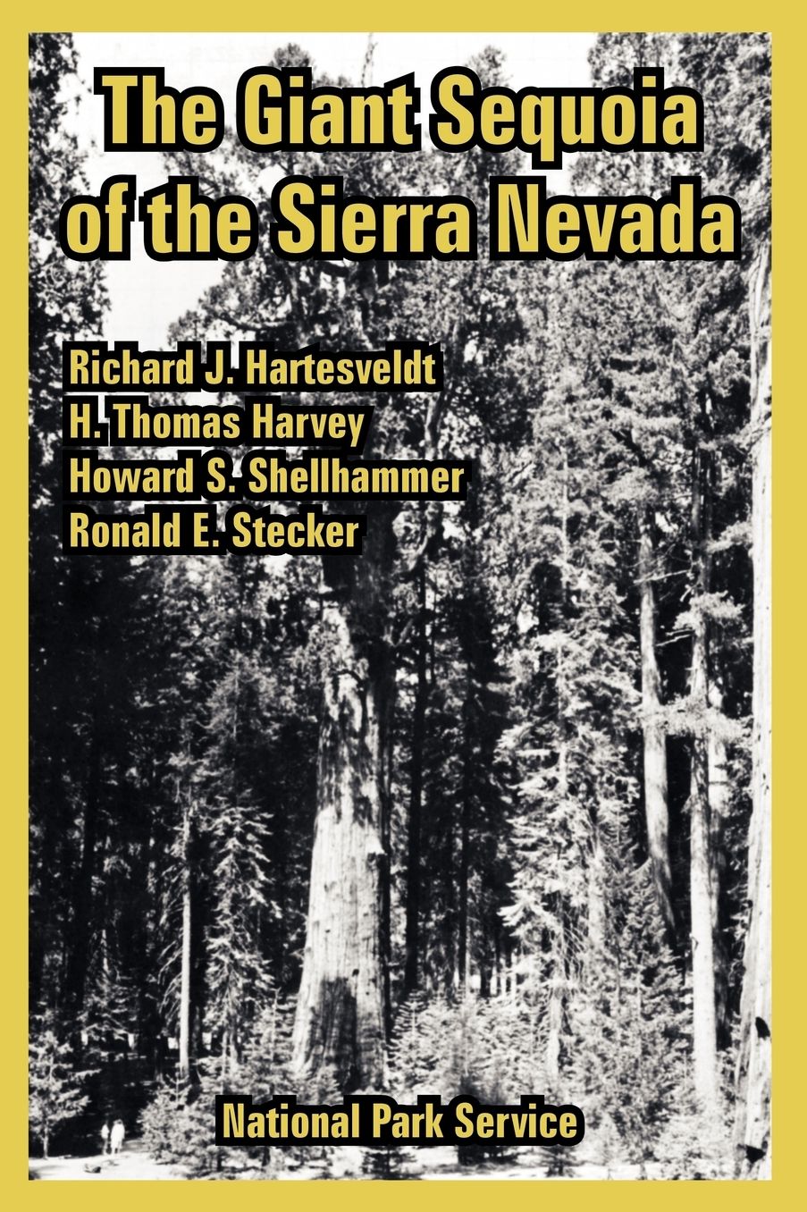 Giant Sequoia of the Sierra Nevada