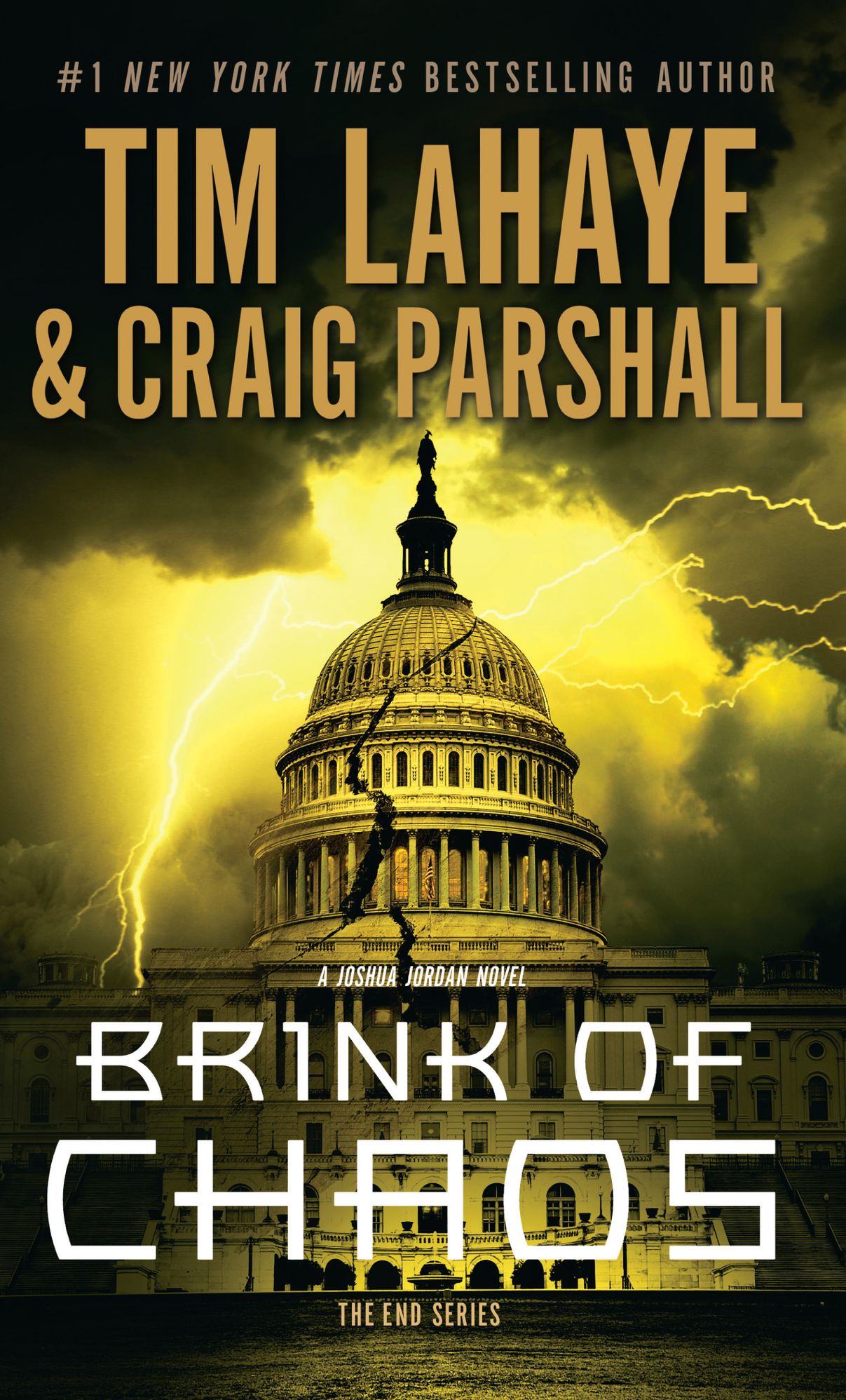 Brink of Chaos (End Series #3)