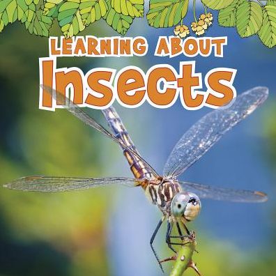 Learning About Insects