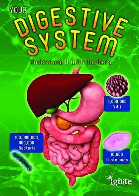 Your Digestive System : Understand It With Numbers