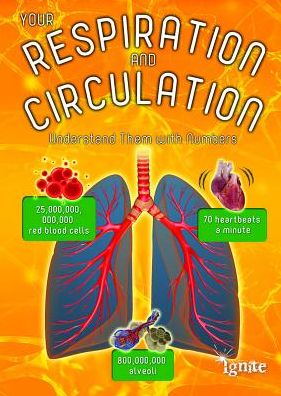 Your Respiration and Circulation : Understand It With Numbers