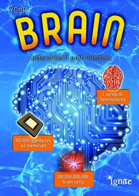 Your Brain : Understand It With Numbers