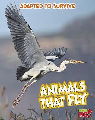 Animals That Fly