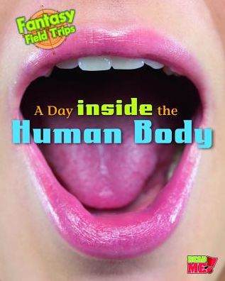 A Day Inside the Human Body