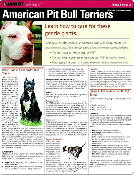 American Pit Bull Terrier (Quamut)