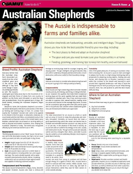 Australian Shepherd (Quamut)