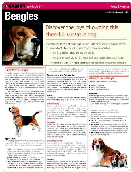 Beagle (Quamut)