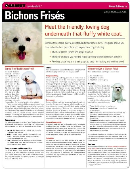 Bichon Frise (Quamut)