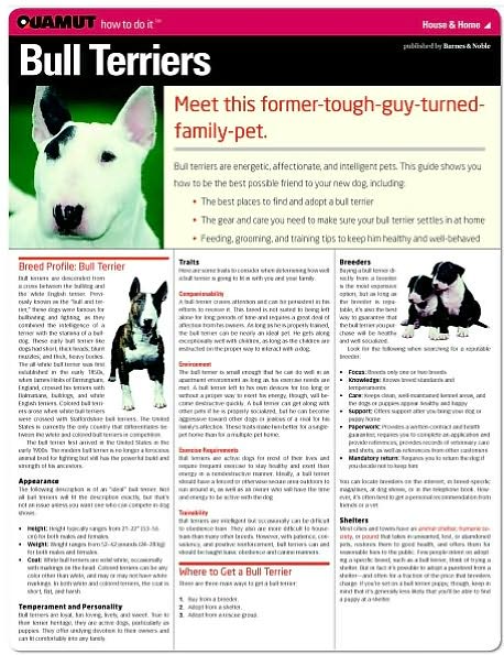 Bull Terrier (Quamut)