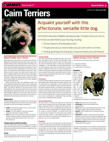 Cairn Terrier (Quamut)