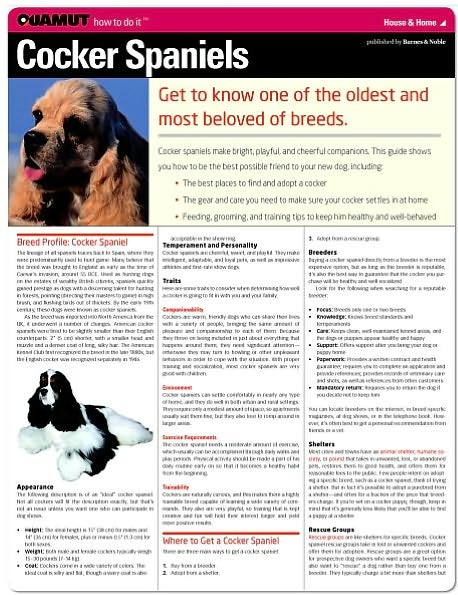 Cocker Spaniel (Quamut)