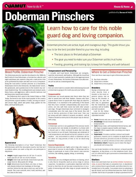 Doberman Pinscher (Quamut)