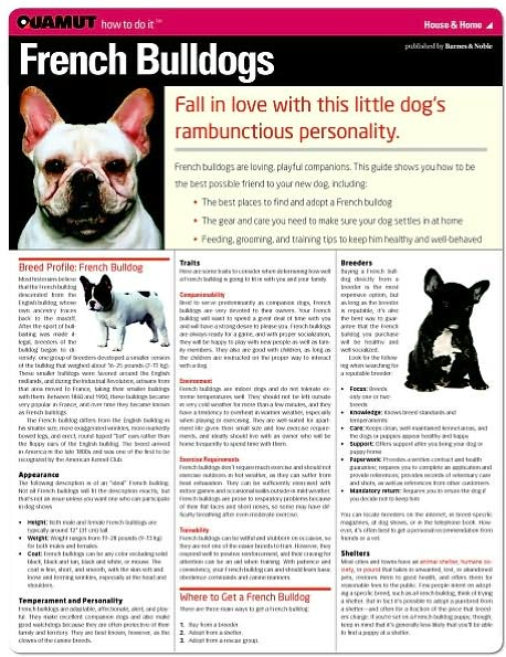 French Bulldog (Quamut)