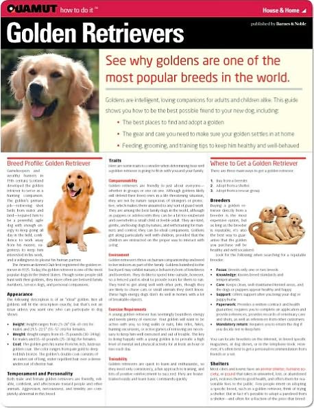 Golden Retrievers (Quamut)